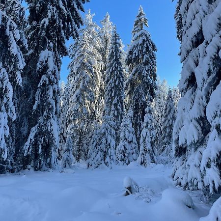 Ferienhaus Laura Renchen المظهر الخارجي الصورة